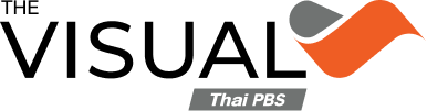 The Visual