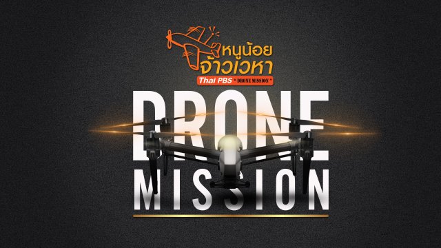 หนูน้อยจ้าวเวหา