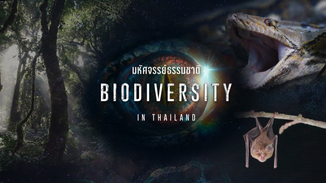 Biodiversity in Thailand มหัศจรรย์ธรรมชาติ