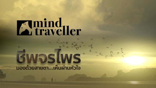 Mind Traveller ชีพจรไพร