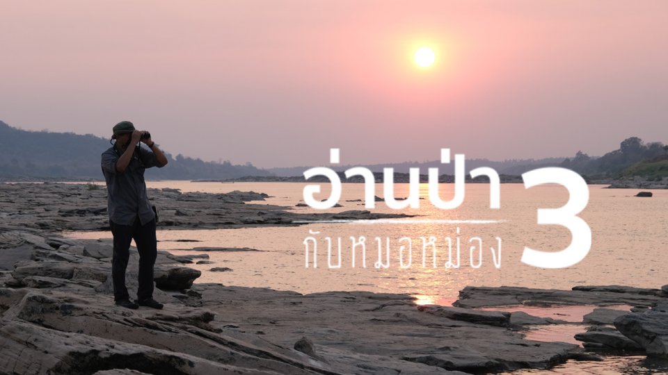 อ่านป่ากับหมอหม่อง