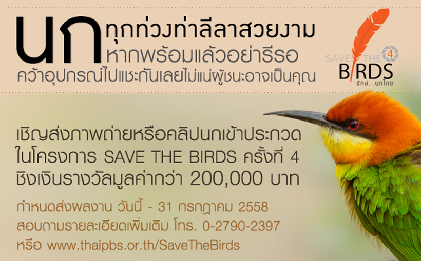 กิจกรรมประกวดภาพถ่ายและคลิปนก SAVE THE BIRDS ครั้งที่ 4