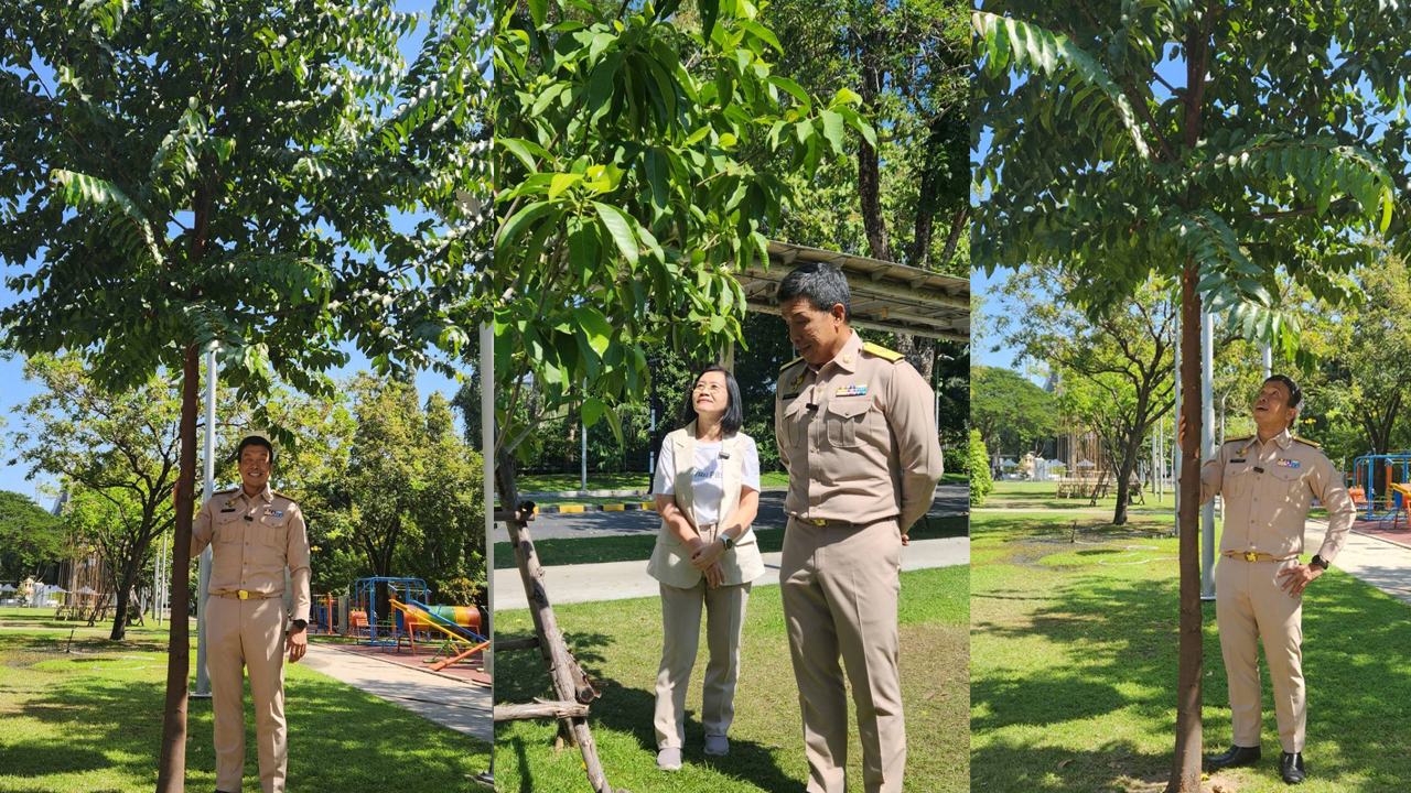 “ผู้ว่าฯ ชัชชาติ” ชื่นชม สวน 15 นาที ไทยพีบีเอส ร่มรื่น