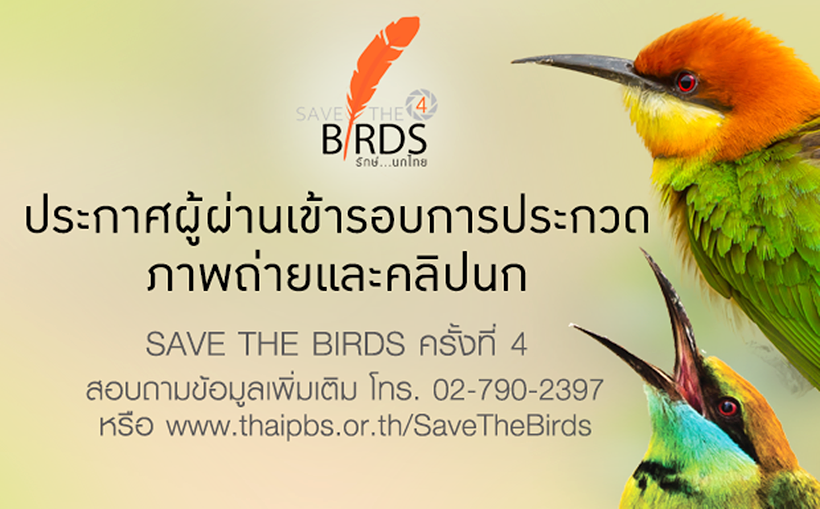 รายชื่อผู้ผ่านการคัดเลือกประกวดภาพถ่ายและคลิปนก SAVE THE BIRDS 4