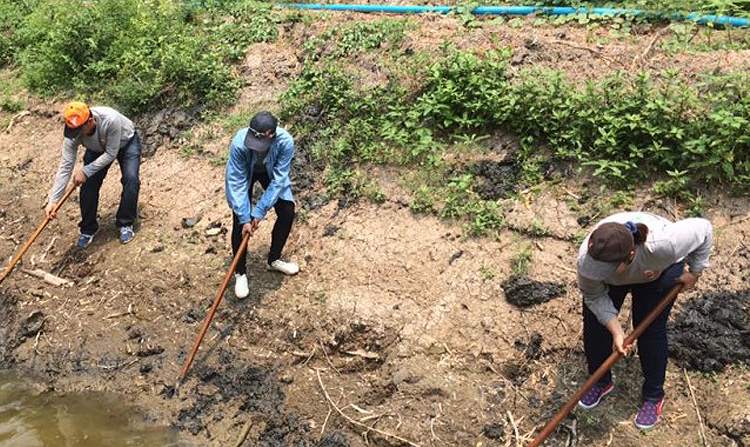 ไทยพีบีเอสจัดโครงการ “รวมพล คนอาสา ขอทำดีเพื่อแผ่นดิน” สร้างฝายเฉลิมพระเกียรติพระบาทสมเด็จพระเจ้าอยู่หัวฯ